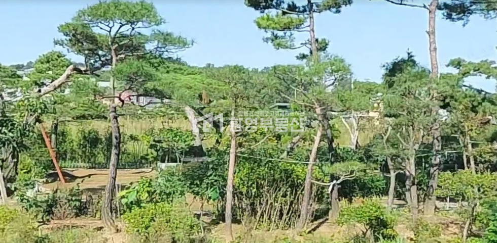 경기 고양일산동구 설문동 설문동토지매매, 2차선부근 매매 매물번호 10336 사진 1
