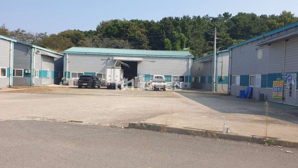 경기 고양일산동구 성석동 40pt컨테이너진입, 월세 매물번호 10365 사진 3