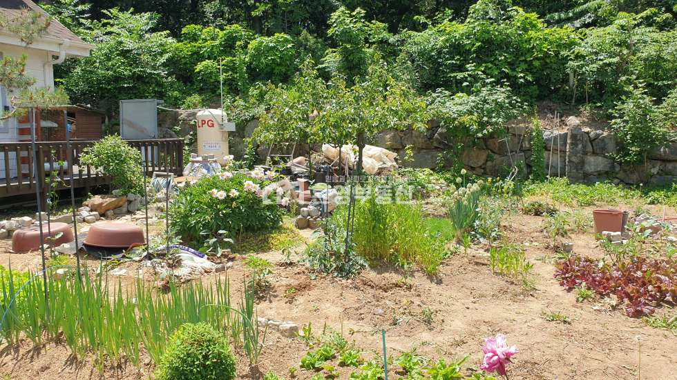 경기 고양일산동구 성석동 단독주택,사리현ic10분 매매 매물번호 10581 사진 5