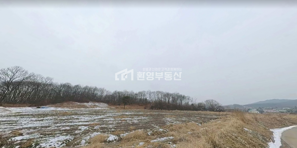 경기 연천군 장남면 원당리 2차선부근, 매매 매물번호 10620 사진 2
