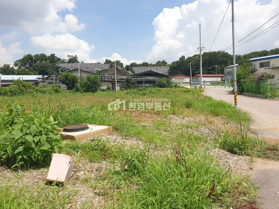 경기 고양일산동구 설문동 2차선접, 1종근생60평허가득,40pt컨테이너진입 매매 매물번호 10399 사진 2