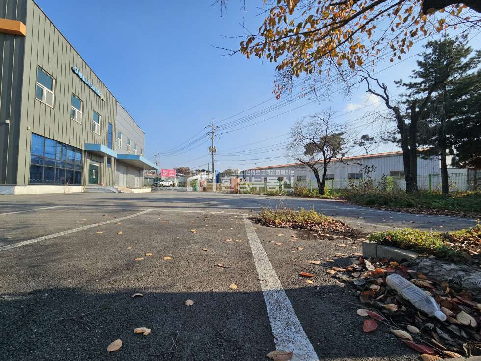 경기 고양일산동구 지영동 대형단독마당, 매매 매물번호 10156 사진 4