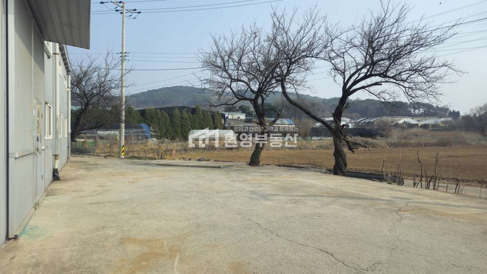 경기 고양일산동구 지영동 단독마당,대형차,고속도로 사리현ic12분 월세 매물번호 10724 사진 2