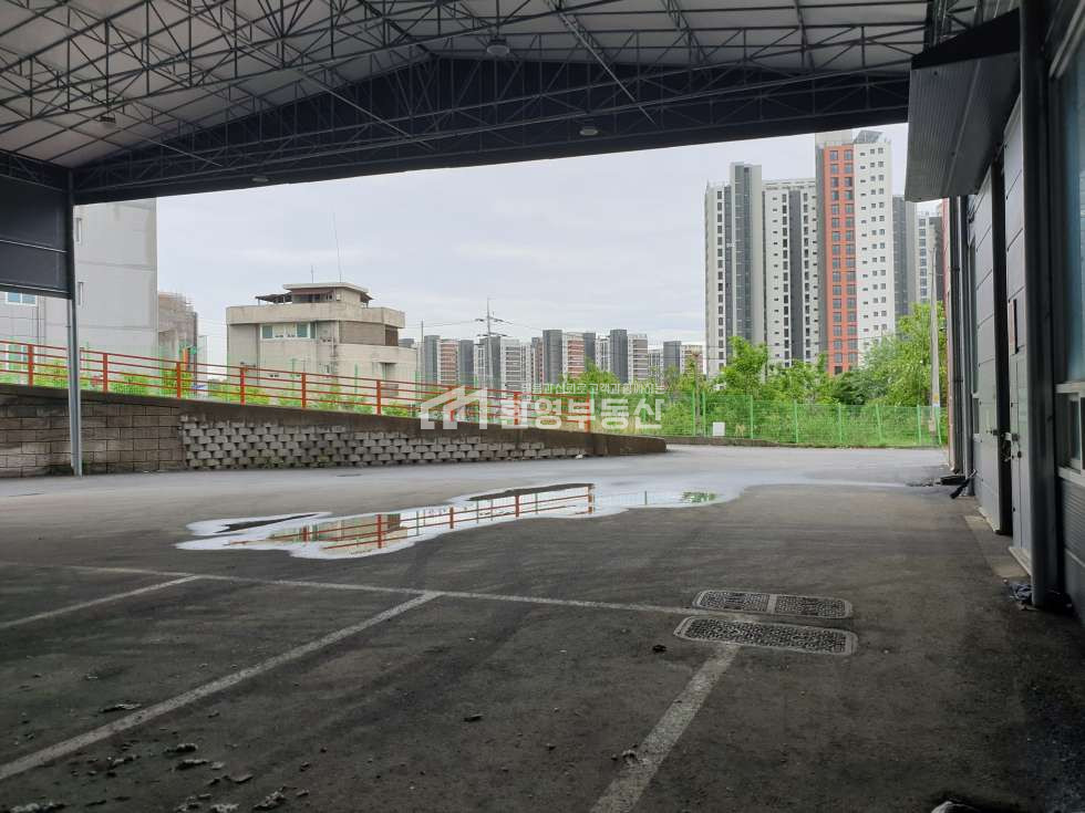 경기 파주시 오도동 대형물류,40pt컨테이너 월세 매물번호 10210 사진 5