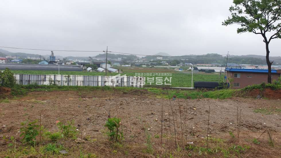 경기 고양일산동구 성석동 매매 매매 매물번호 10187 사진 1